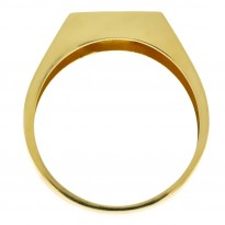 Zlatý pánsky prsteň K11.050.A1