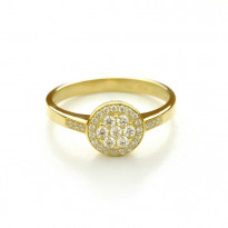 Zlatý dámsky prsteň ELIANNA K16.091.A1