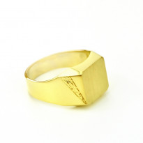 Zlatý pánsky prsteň CARL K07.031.A1